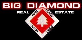 Big Diamond Real Estate